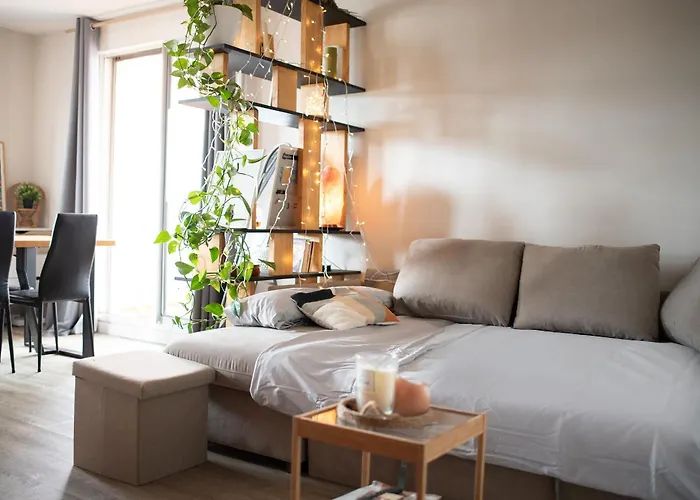 Les Terrasses Illuminees - T3 Avec Parking Gratuit Toulouse