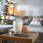 Les Terrasses Illuminees - T3 Avec Parking Gratuit アパート